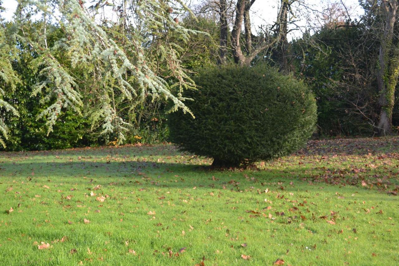Gite Des Ecuries Derchigny Luaran gambar